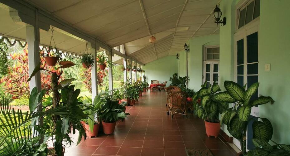 MPT Satpura Retreat, Pachmarhi 4